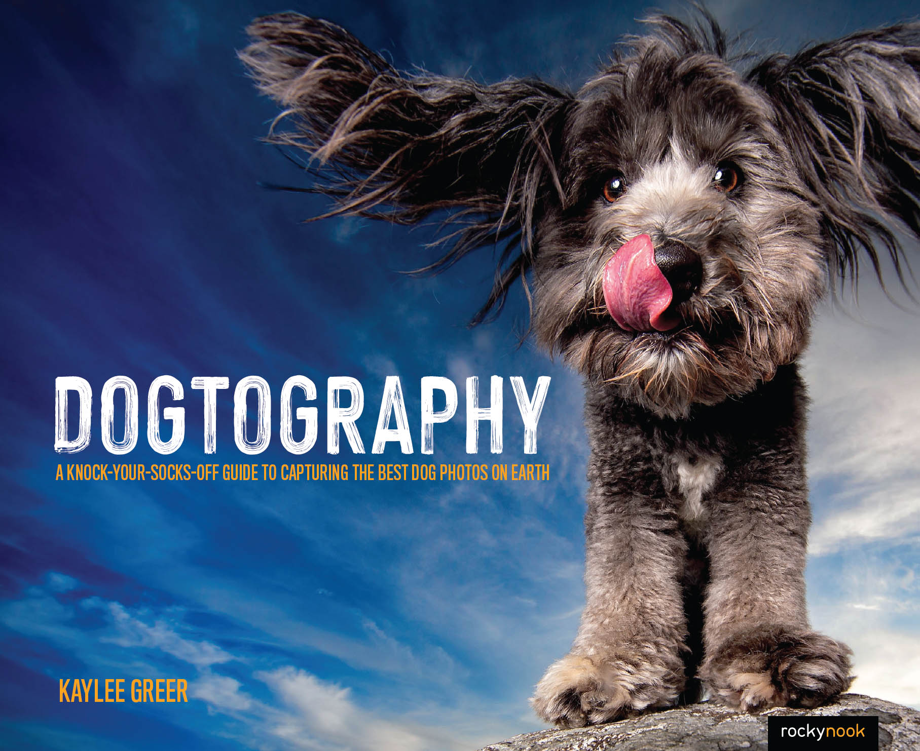 DOGTOGRAPHY A KNOCK-YOUR-SOCKS-OFF GUIDE TO CAPTURING THE BEST DOG PHOTOS ON - photo 2