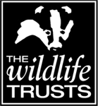 The Wildlife Trusts The Wildlife Trusts are the UKs largest people-powered - photo 3