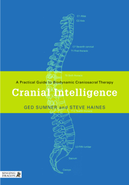 Ged Sumner and Steve Haines Cranial Intelligence