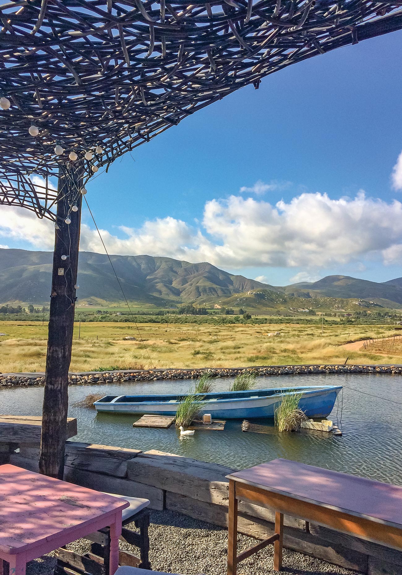 casual outdoor setting at Troika restaurant in Valle de Guadalupe - photo 14