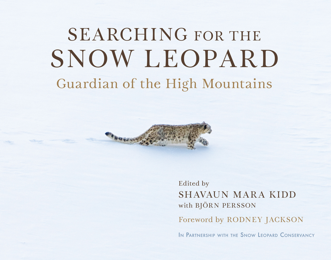 Searching for the Snow Leopard Guardian of the High Mountains - photo 1