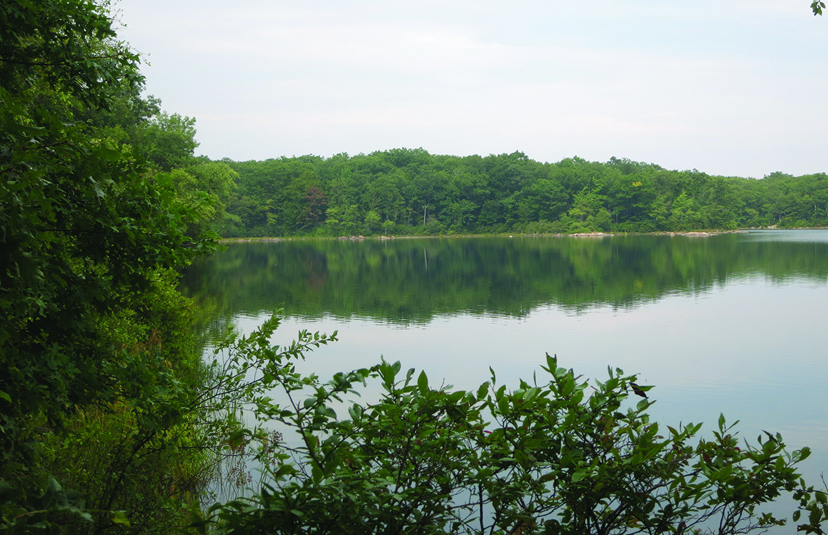 LAKE RUTHERFORD THE GEOLOGY AND TOPOGRAPHY OF NEW JERSEY Geologists divide New - photo 6