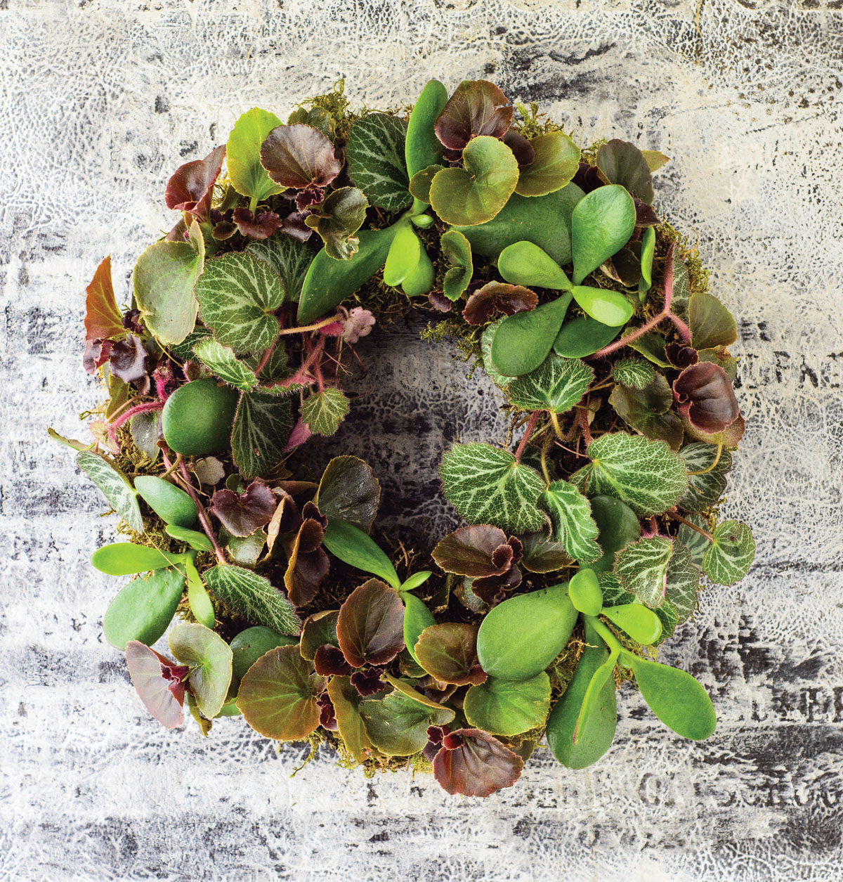 This Living Wreaths book challenged me to my core and pushed me well outside my - photo 2