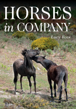 Lucy Rees - Horses in Company