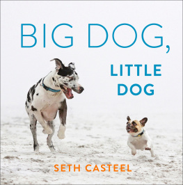 Seth Casteel - Big Dog, Little Dog