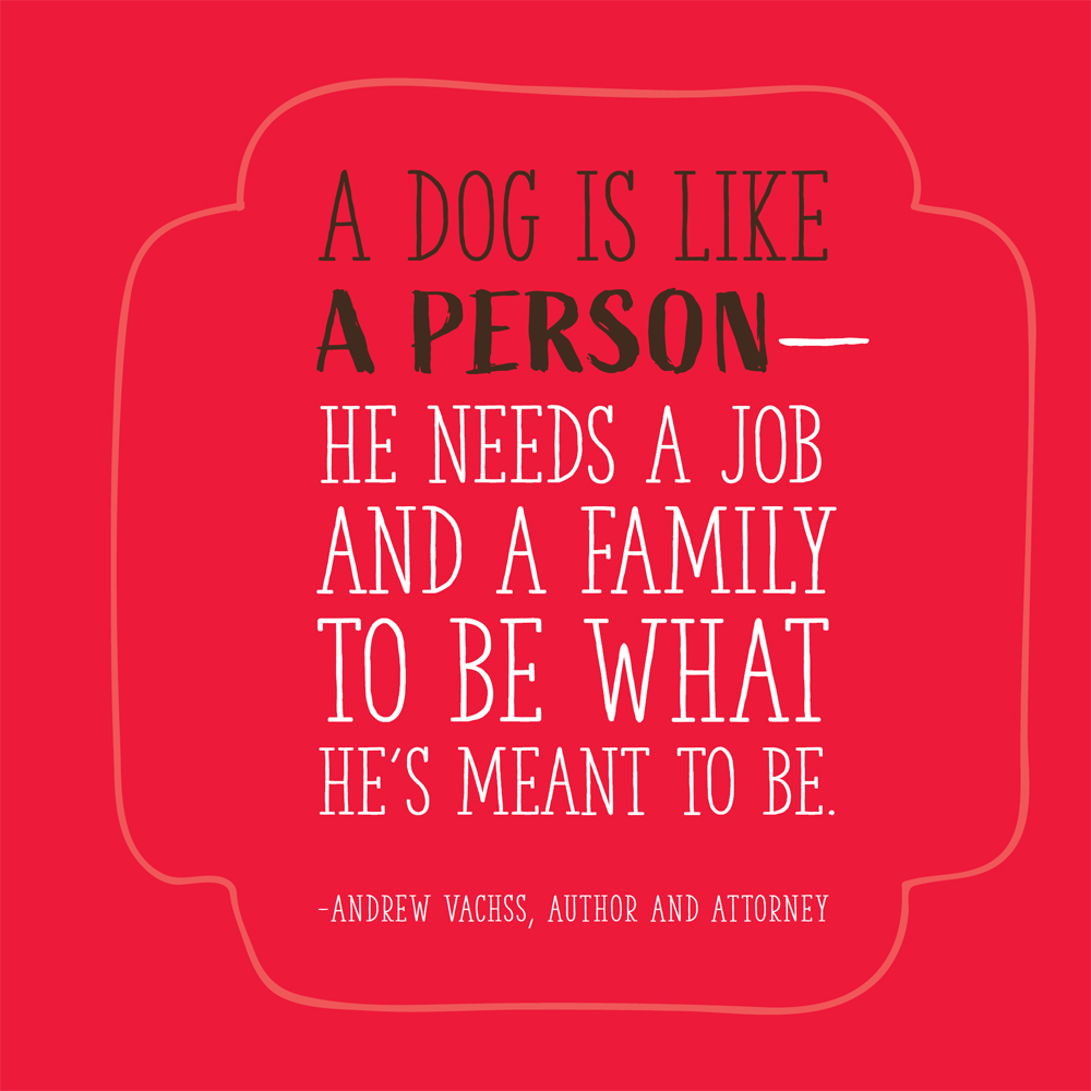 Dogs Will Be Dogs The Ultimate Dog Quote Book - photo 37