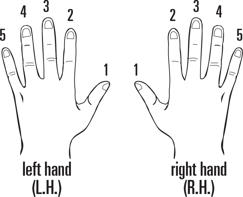 Each finger is assigned a number Place your palms together with your - photo 9