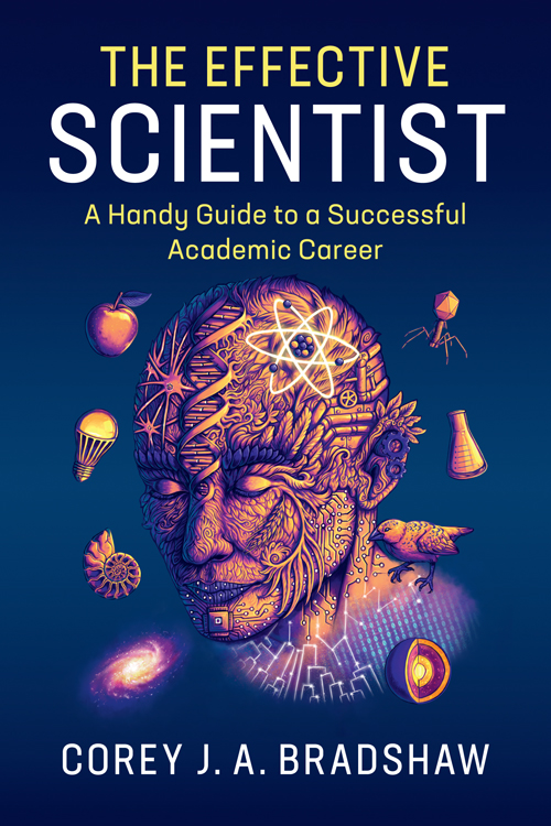 Contents The Effective Scientist A Handy Guide to a Successful Academic Career - photo 1