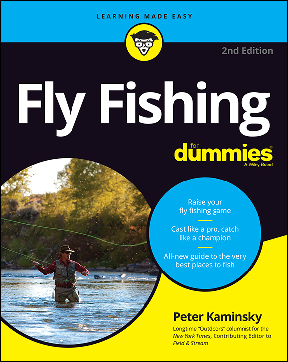 Fly Fishing For Dummies 2nd Edition Published by - photo 1