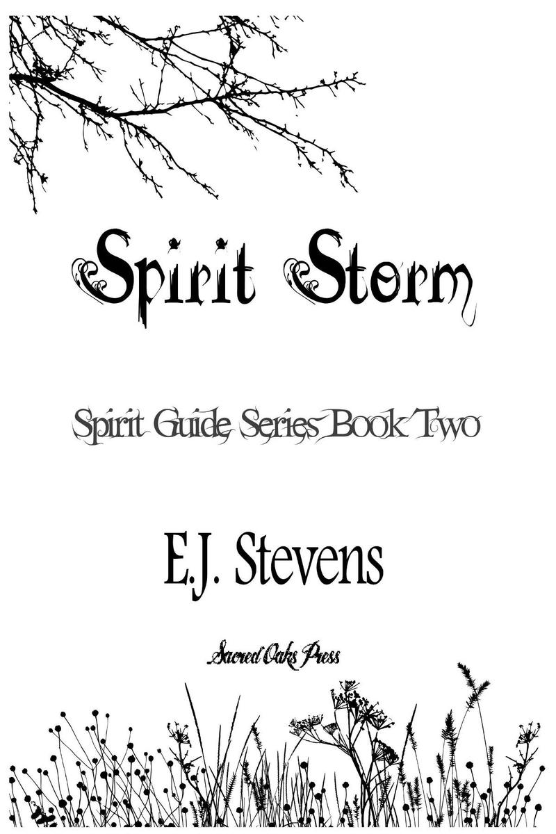 Spirit Storm EJ Stevens Published by Sacred Oaks Press atSmashwords Copyright - photo 2