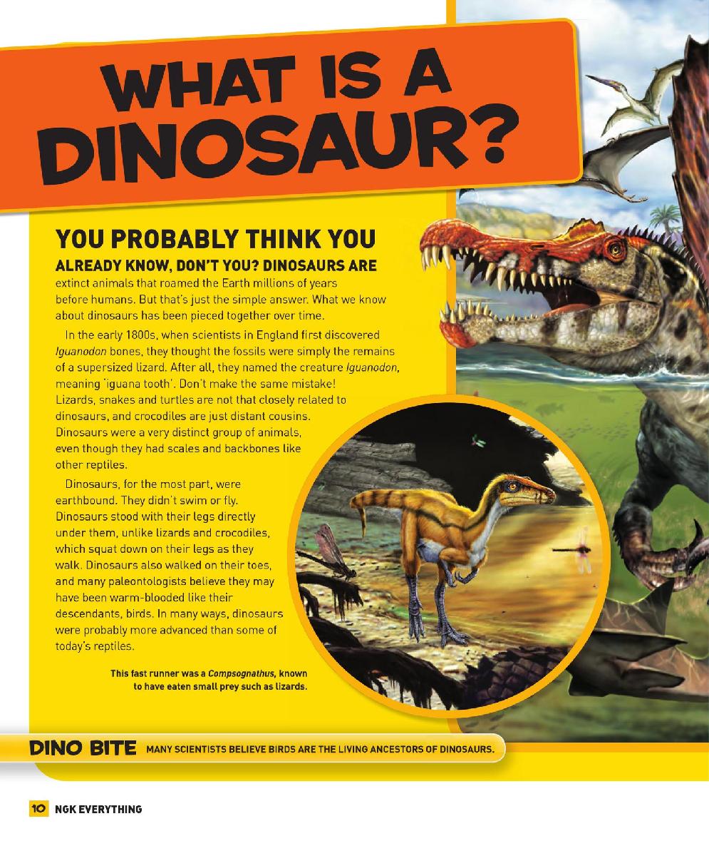 Everything Dinosaurs - photo 11