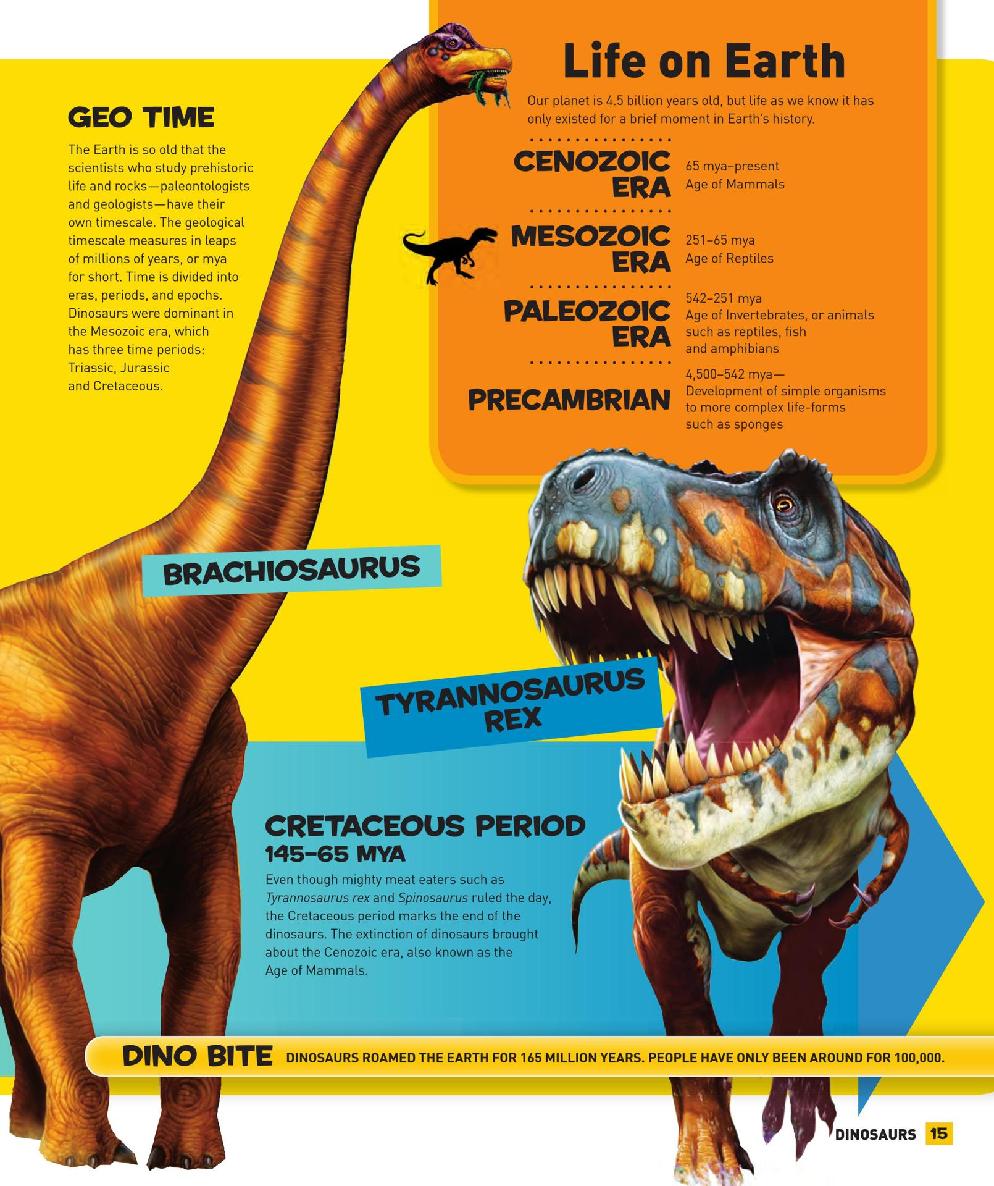 Everything Dinosaurs - photo 16