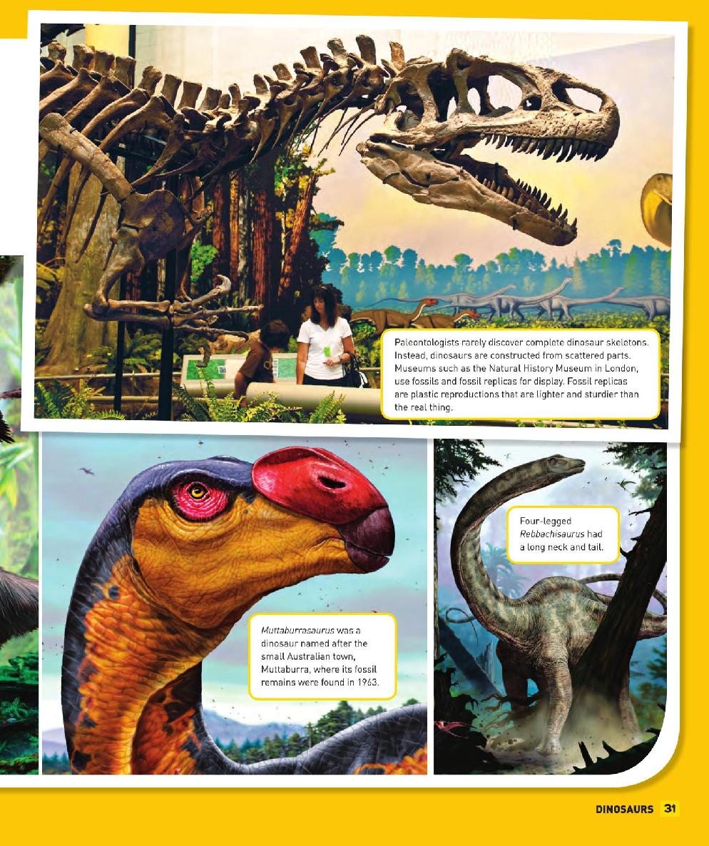 Everything Dinosaurs - photo 32