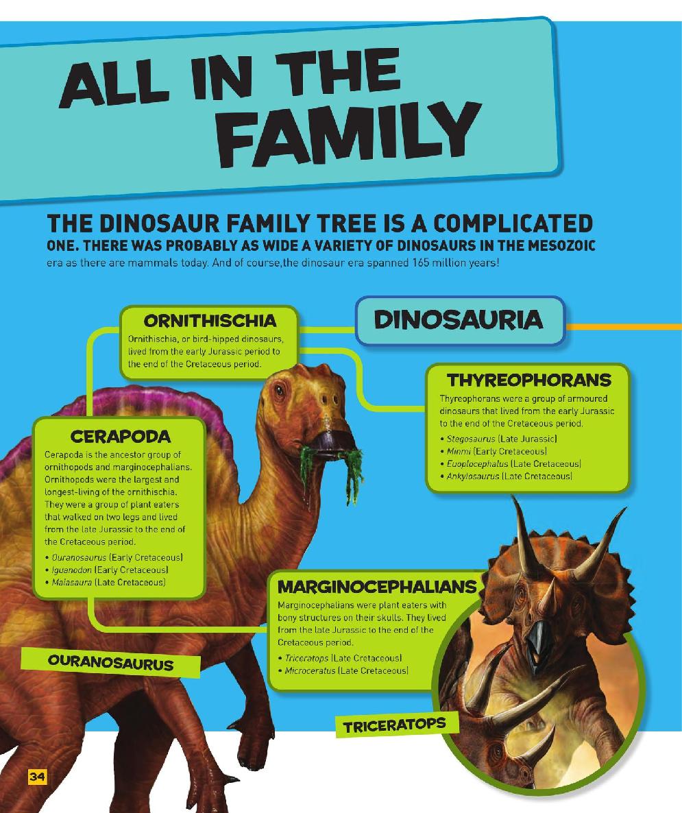 Everything Dinosaurs - photo 35