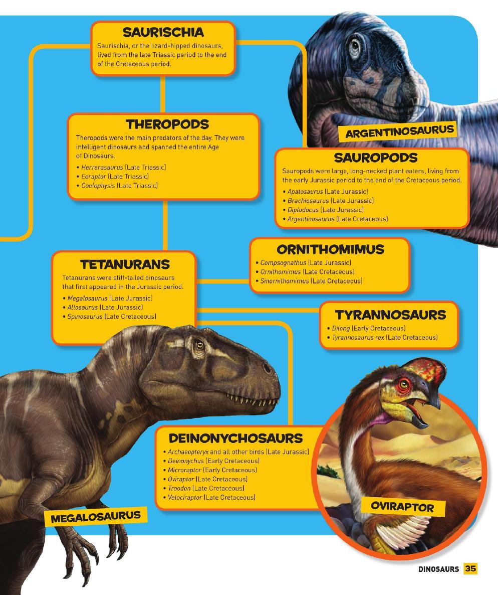 Everything Dinosaurs - photo 36