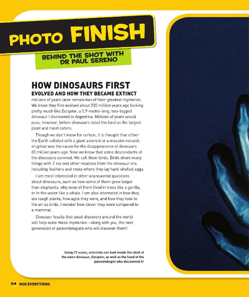 Everything Dinosaurs - photo 55