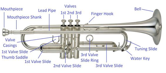 How is the sound delivered The trumpeter or trumpet player delivers the sound - photo 2