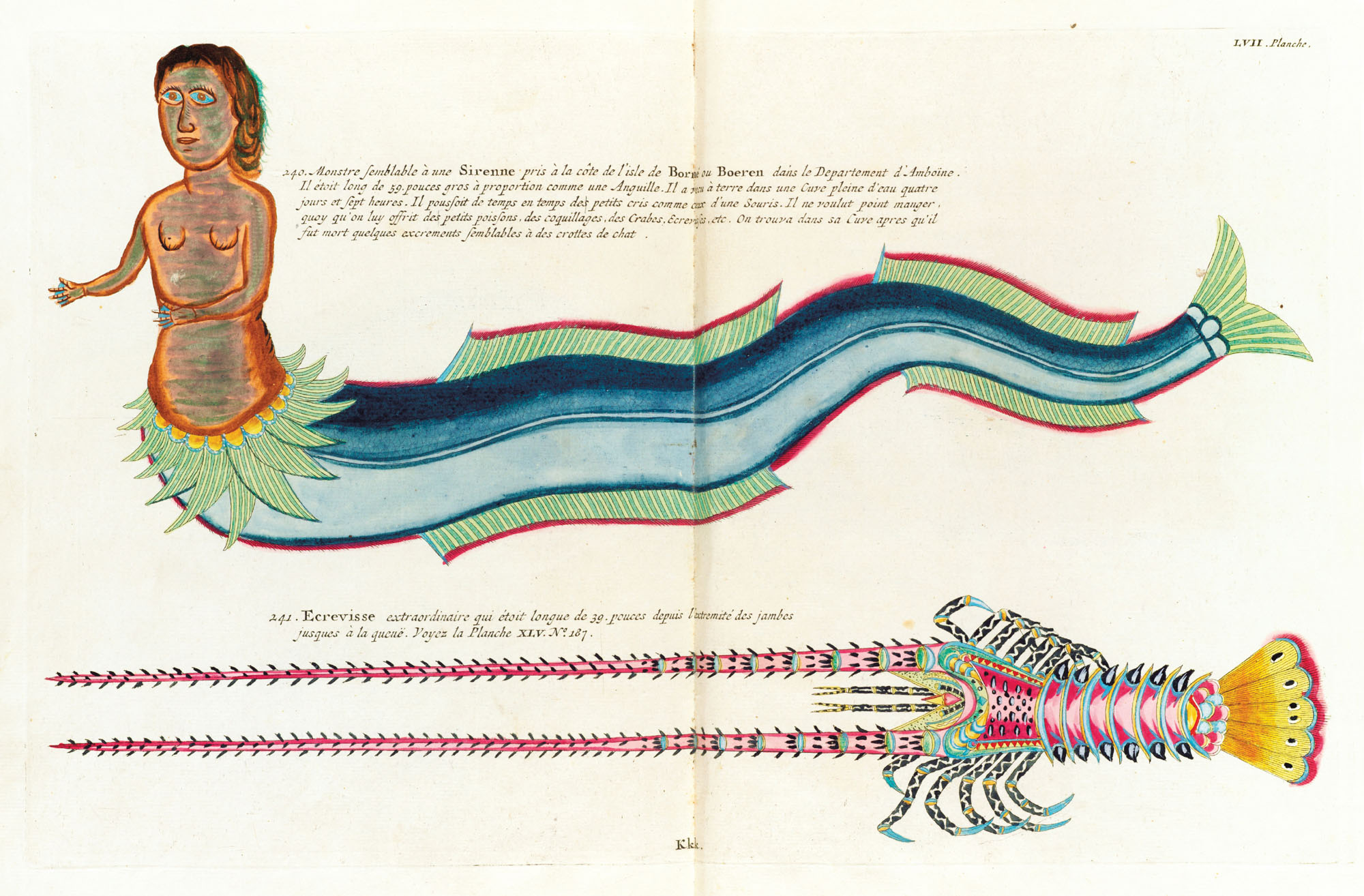 Illustration from a mysterious supernatural manuscript of c 1775 in the - photo 5