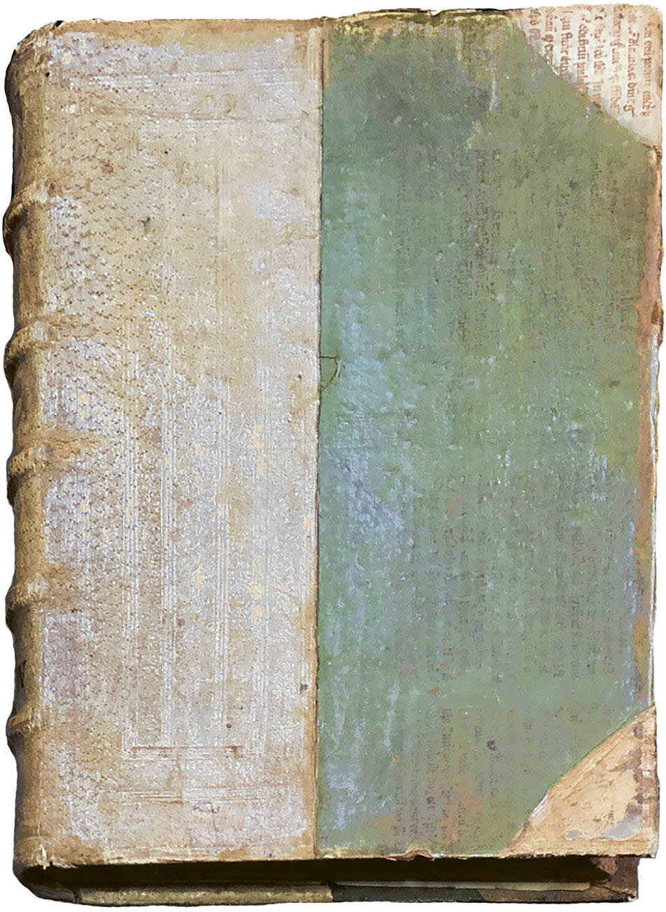 A lethal seventeenth-century binding The green paint is rich in arsenic added - photo 9