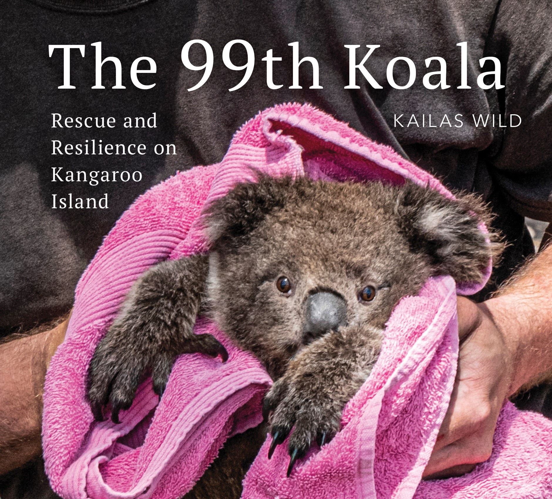 The 99th Koala Rescue and resilience on Kangaroo Island - photo 1