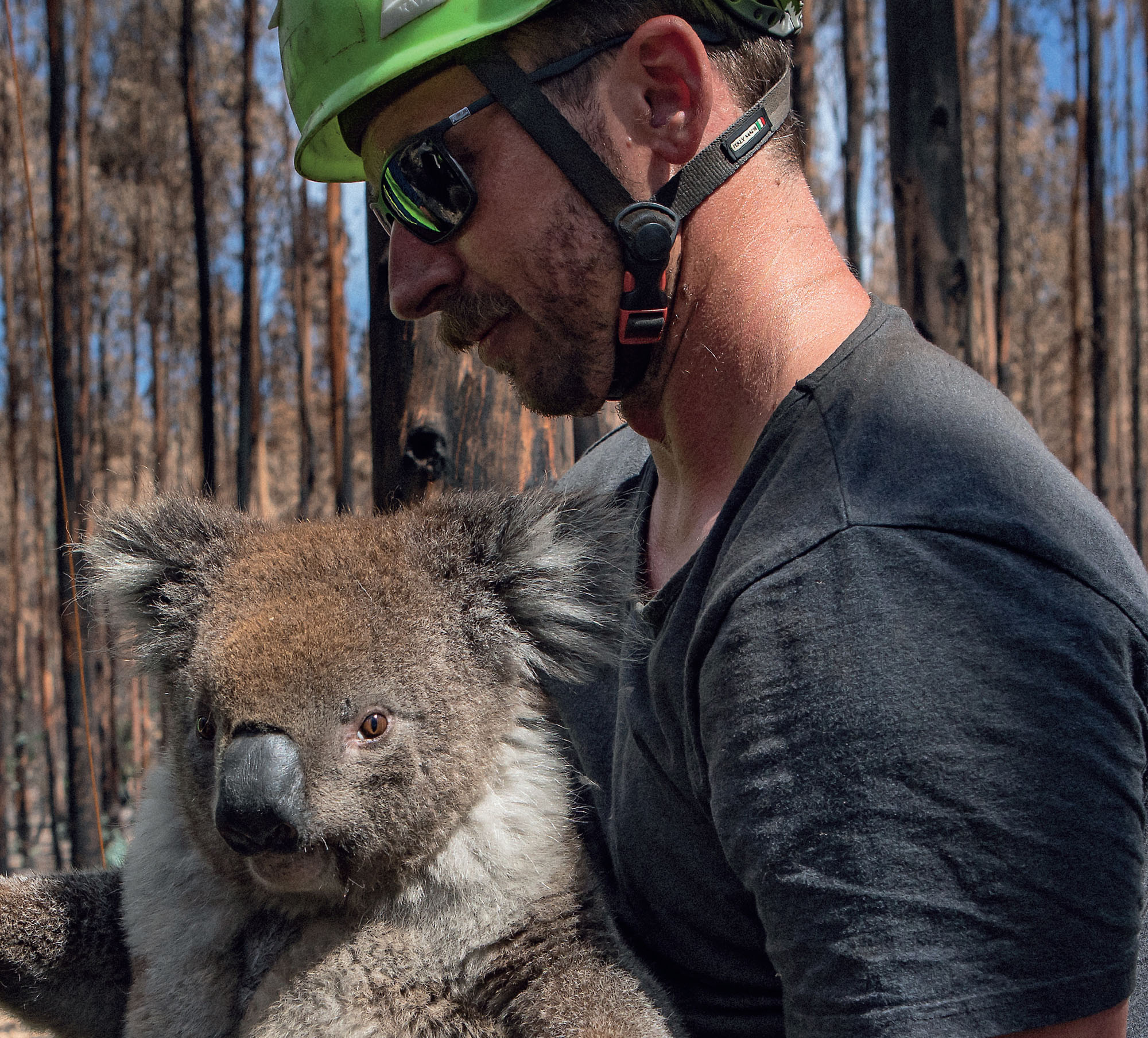 Australias Black Summer bushfires were absolutely devastating A combination of - photo 6