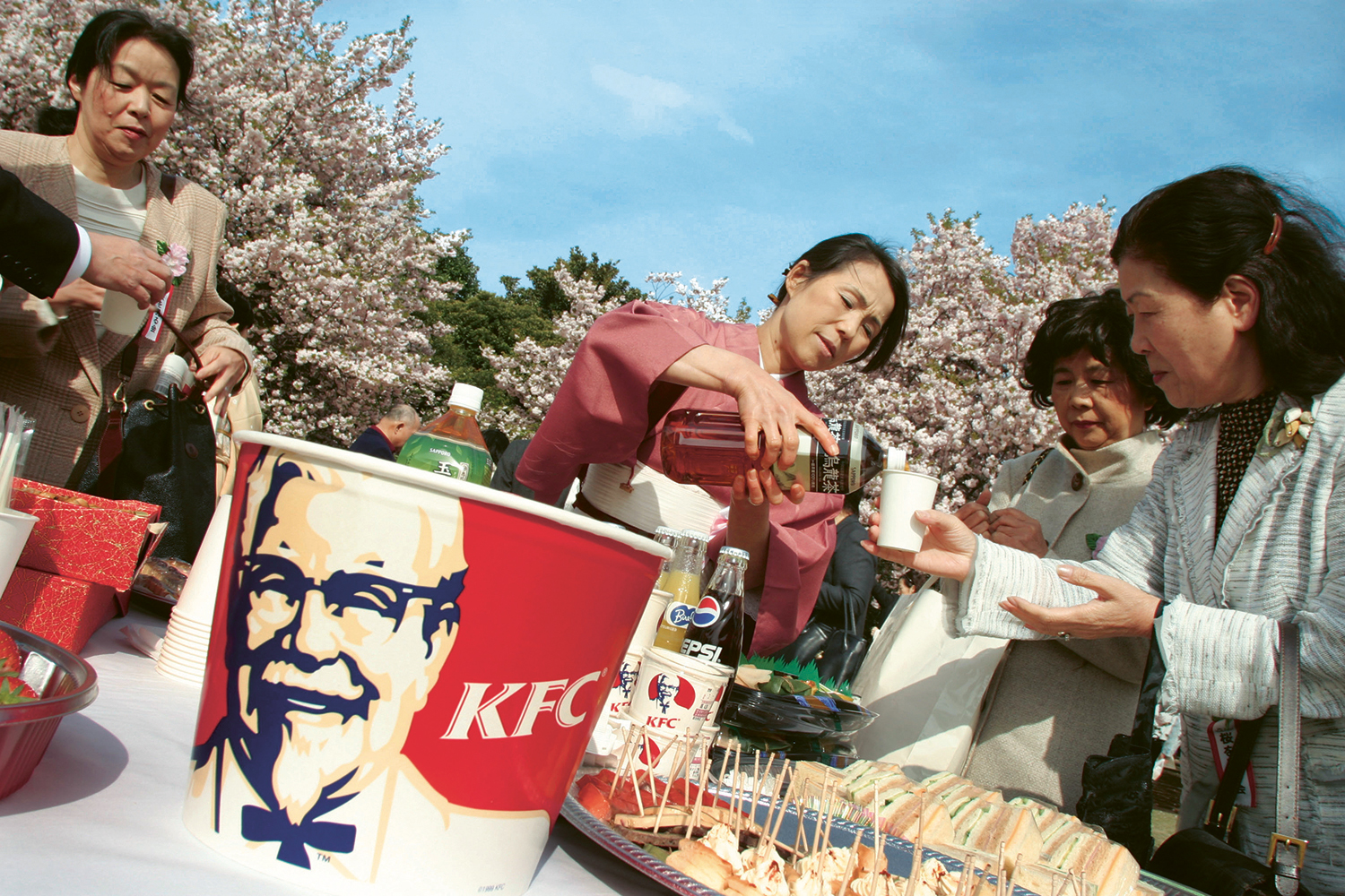 A Guests at a Sakura Hanami cherry blossom viewing party in Tokyo Japan mix - photo 9