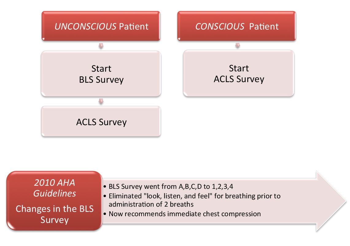 BASIC LIFE SUPPORT THE BLS SURVEY 1-2-3-4 Basic Life Support BLS utilizes - photo 2