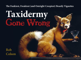 Rob Colson - Taxidermy Gone Wrong