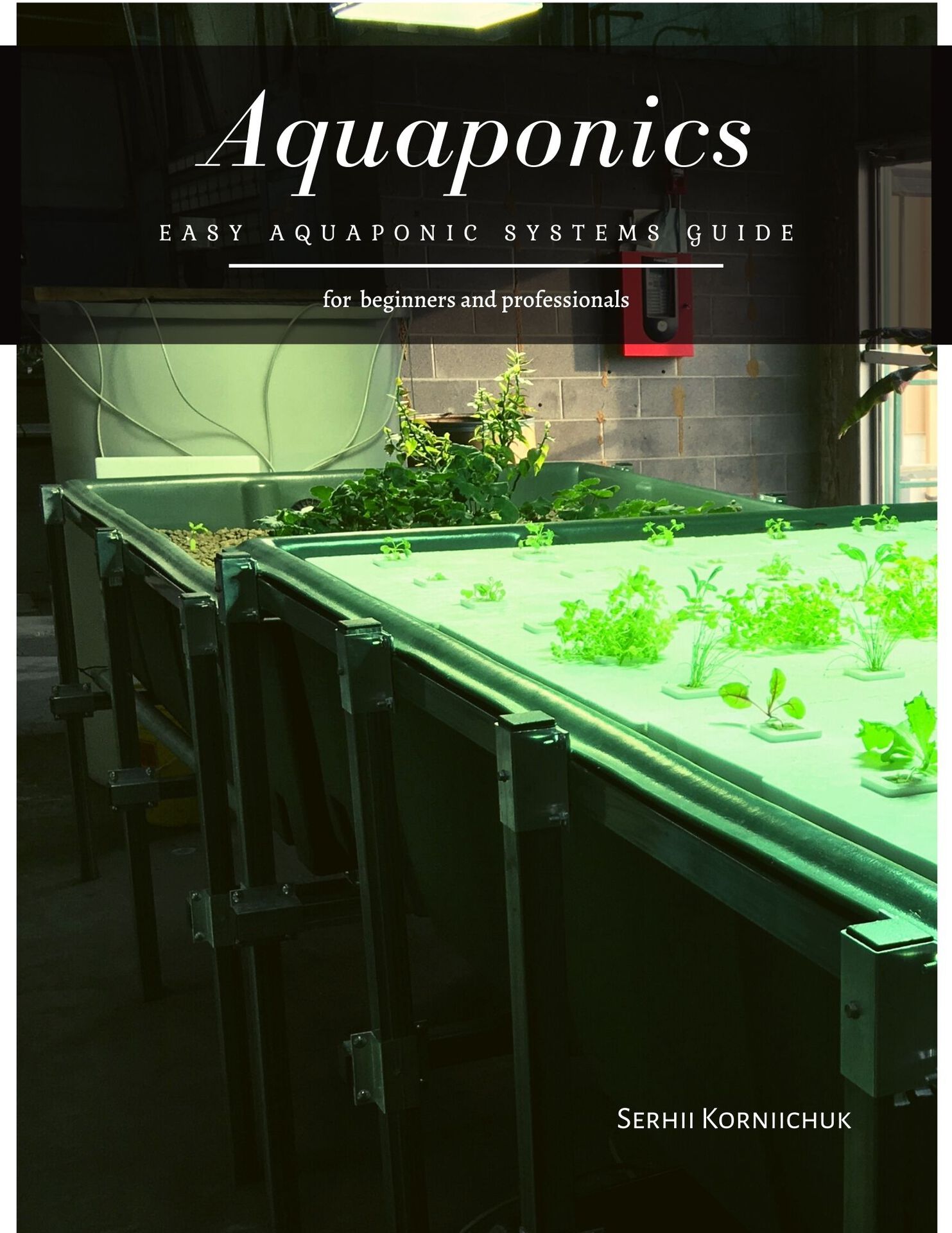 Introduction Using simple principles and innovative designs aquaponics - photo 1