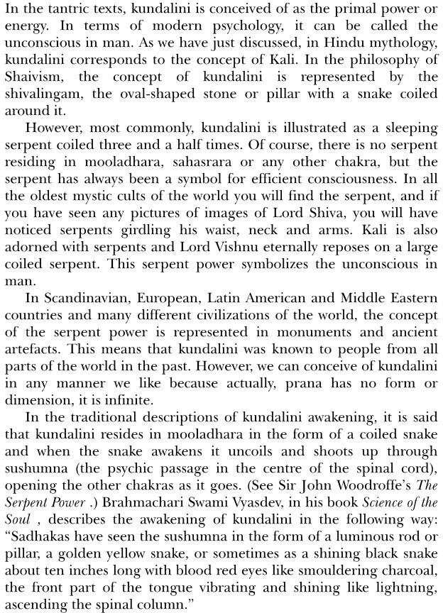 Tantric Techniques Awakening the Power of Kundalini Chakras Kundalini Awakening - photo 19