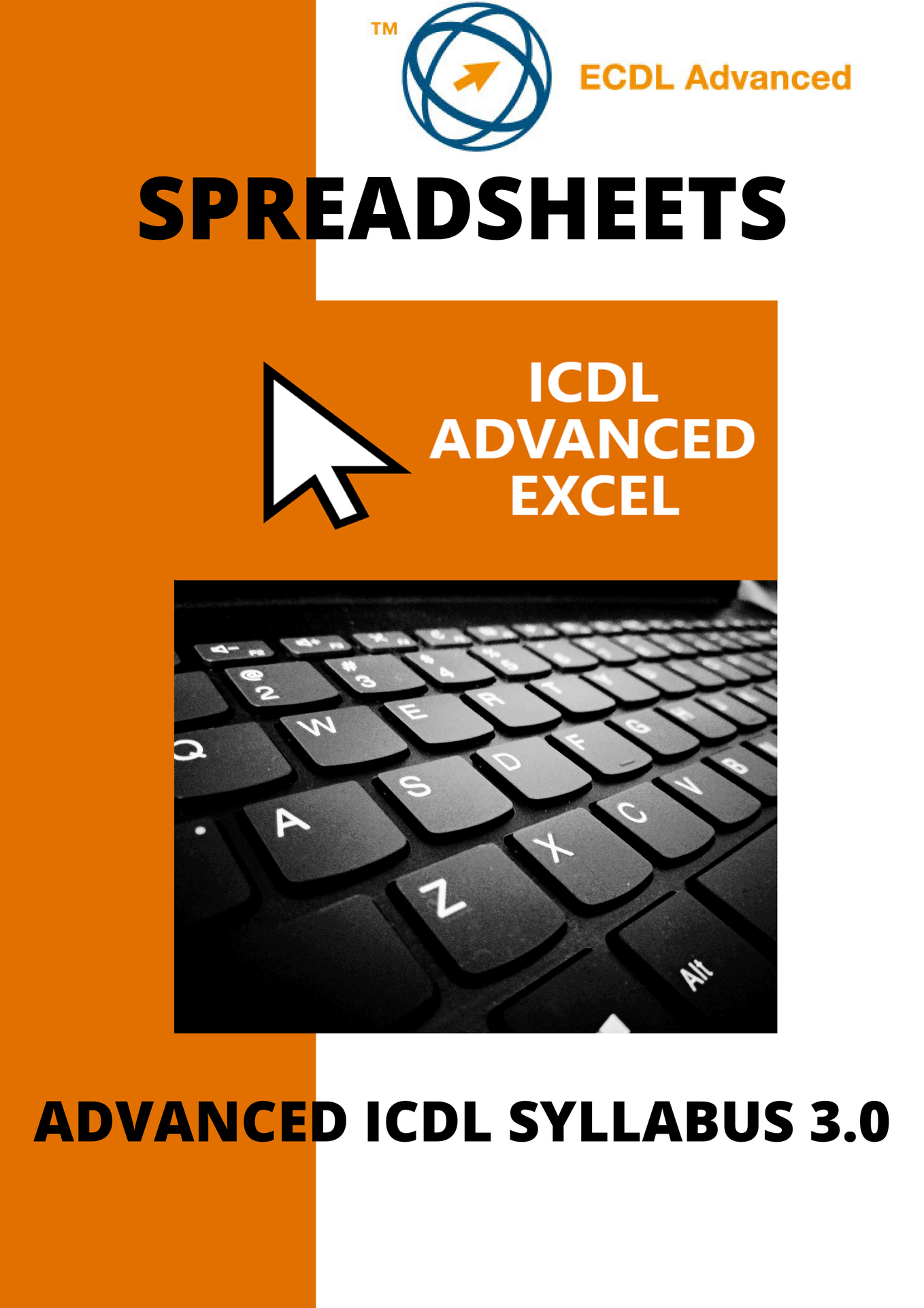 Advanced ICDL ECDL Sprea - photo 1