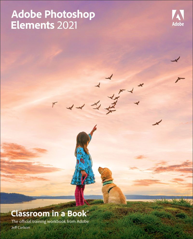 Adobe Photoshop Elements 2021 Classroom in a Book - image 1