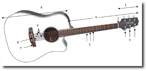 1 Head located at the end of the instrument and is outfitted with machineheads - photo 1