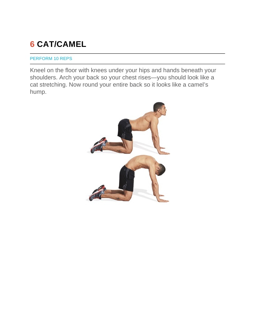 The Males Fitness Handbook For Fitness Strength Outstanding Exercises To Build Strength Metabolize Calories And Carve The Finest Body Ever - photo 22