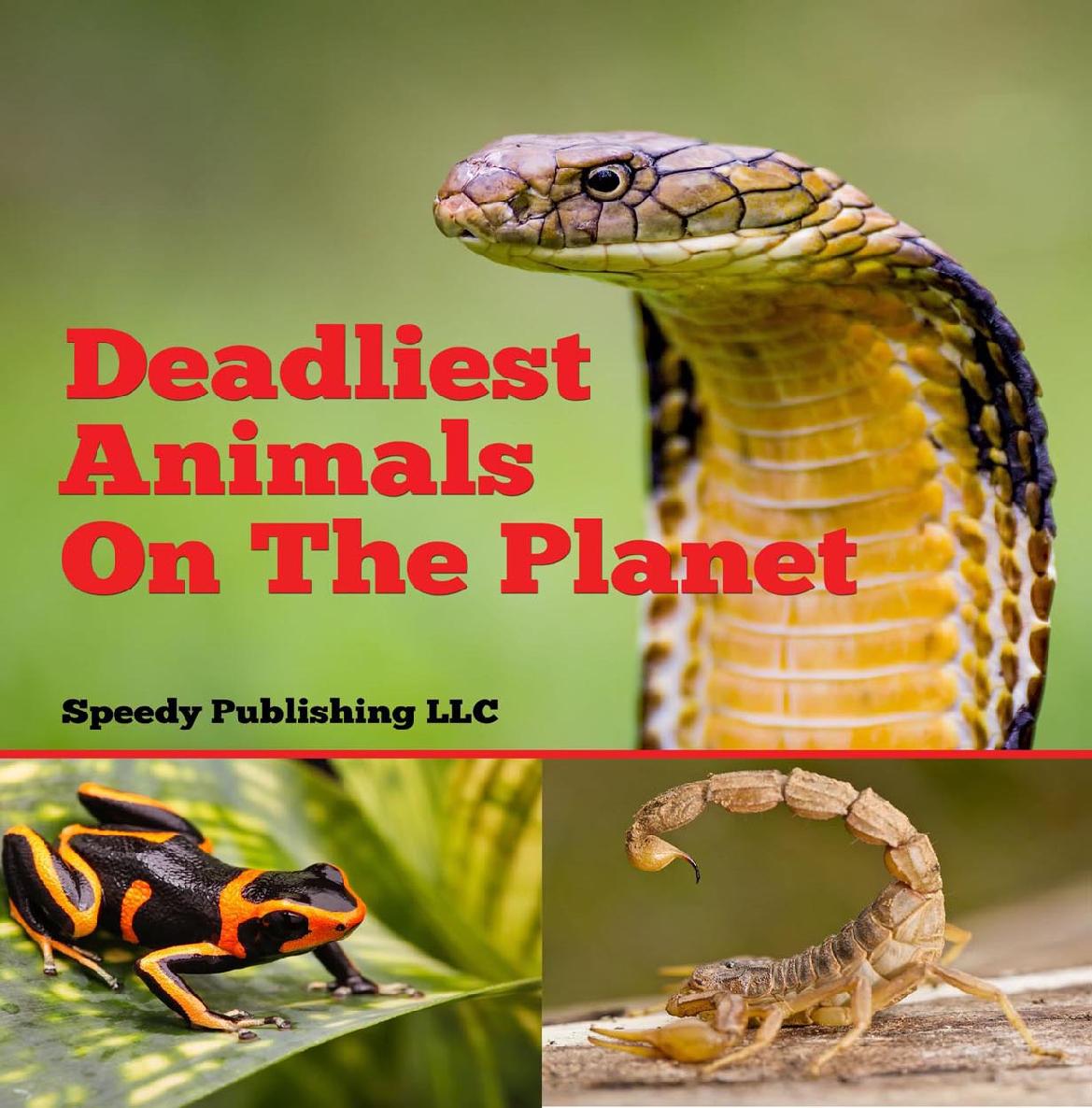 Deadliest Animals On The Planet Deadly Wildlife Animals - photo 1