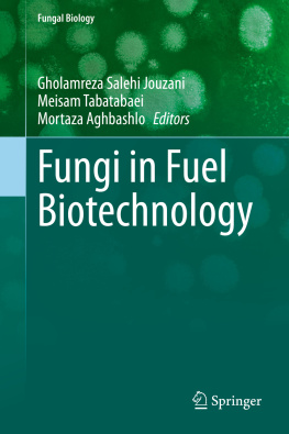 Gholamreza Salehi Jouzani Fungi in Fuel Biotechnology