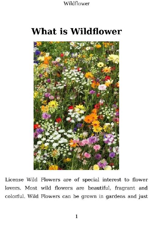 Wildflower An Illustrated Manual Gift Ideas for Holiday - photo 2