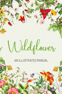 Kendall Klein - Wildflower: An Illustrated Manual: Gift Ideas for Holiday