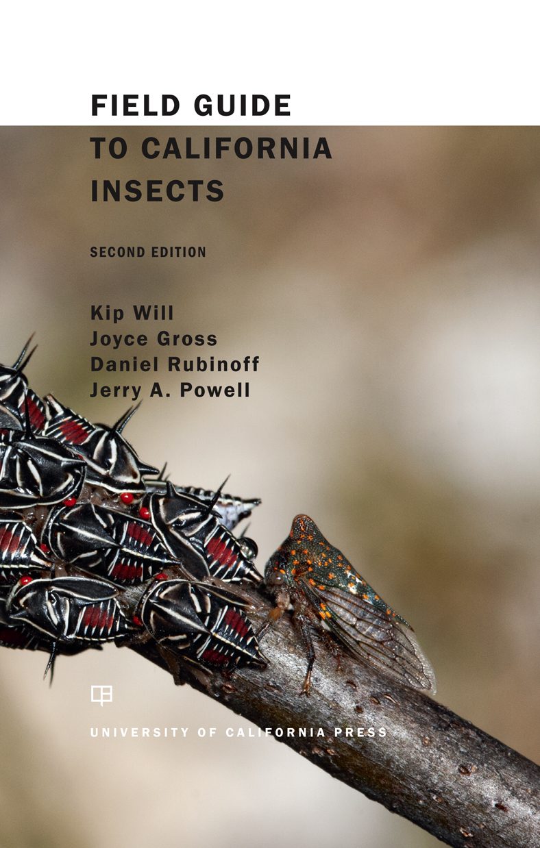 Field Guide to California Insects California Natural History Guides - photo 1