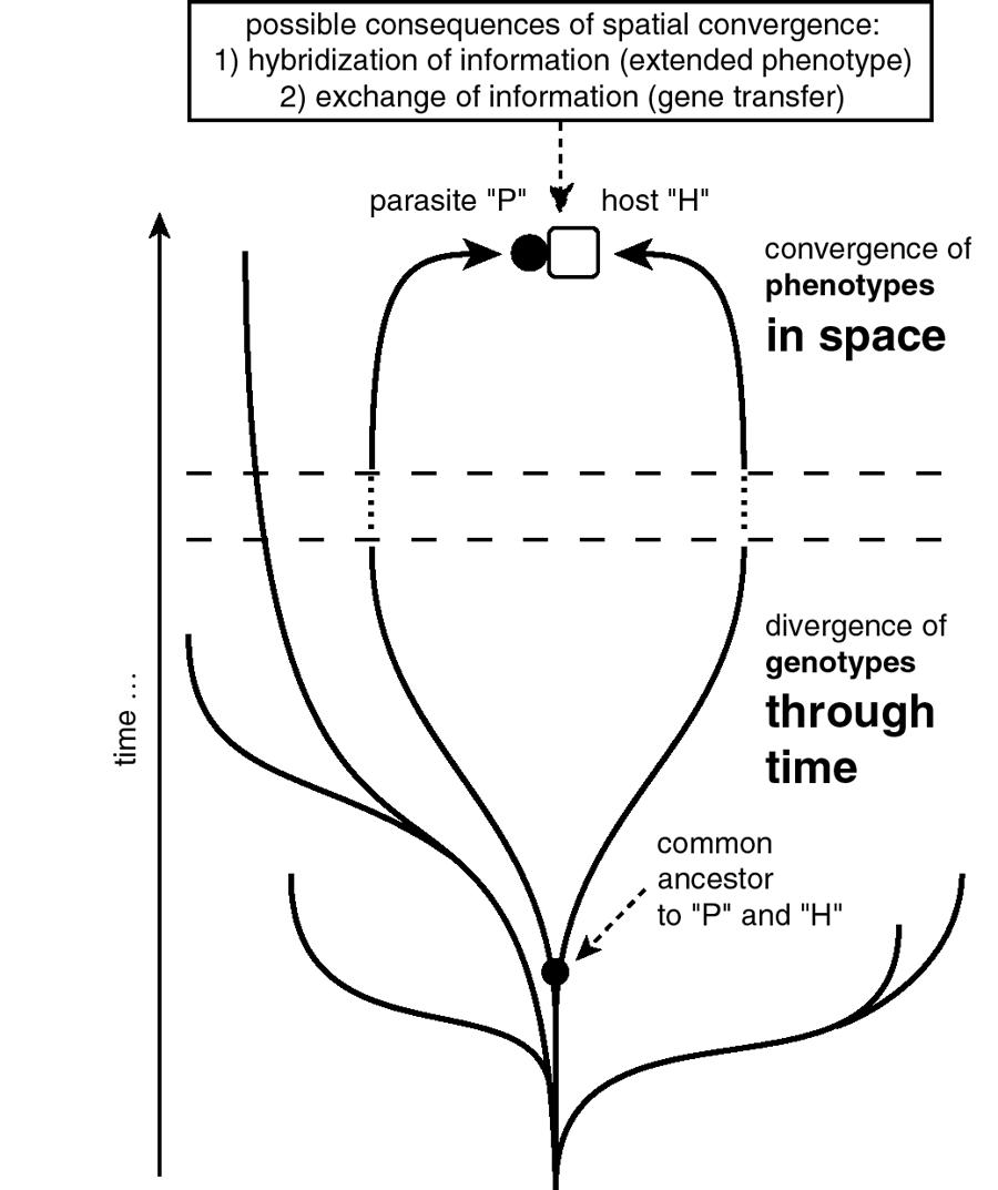 Fig 1 Hypothetical schema showing how two repositories of genetic - photo 2