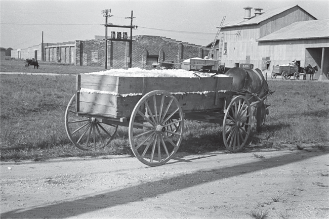 Walker Evans Starting from Scratch - photo 16