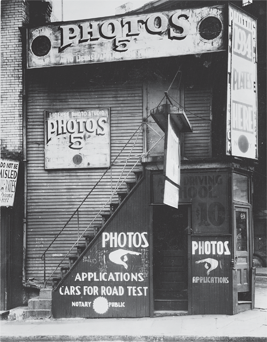 Walker Evans Starting from Scratch - photo 23