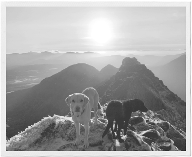 31st December 2019 Torridon in the north-west of Scotland provides a - photo 4