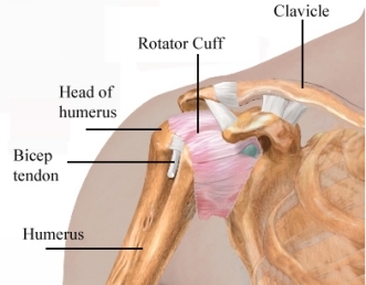 What caused the pain T he doctor explained that my pain was caused by - photo 1