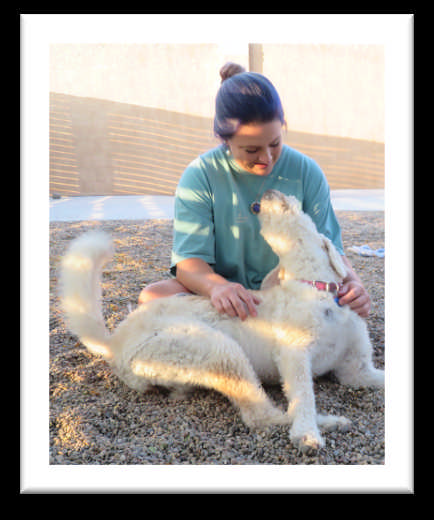 Professional Applications of Animal Assisted Interventions Sneak Peek of - photo 7