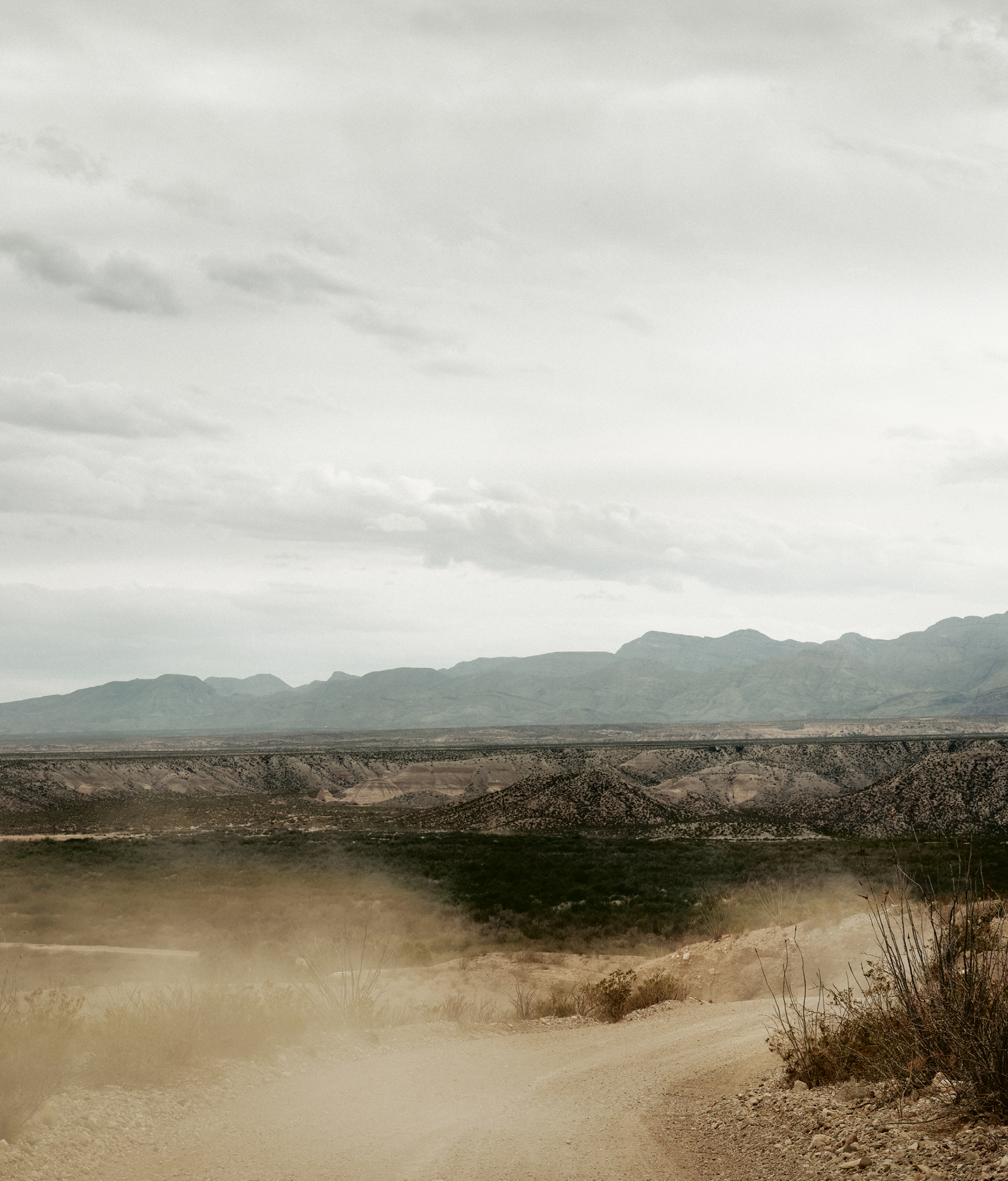 iO Tillett Wright is a polymath native New Yorker who now calls Joshua Tree - photo 1