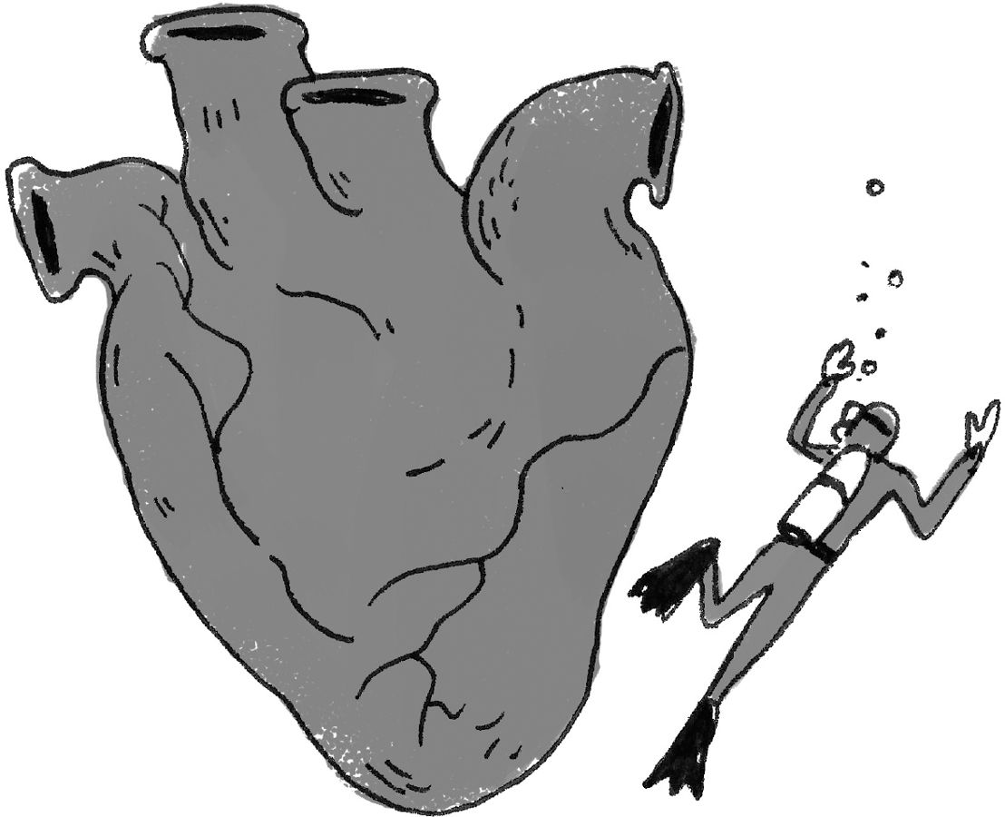 See how big a whales heart is on CONTENTS The world is a weird - photo 2