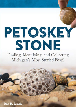 Lynch Dan R. - Petoskey Stone