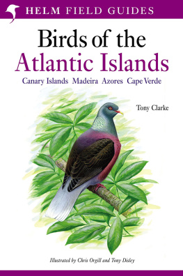 Tony Clarke A Field Guide to the Birds of the Atlantic Islands