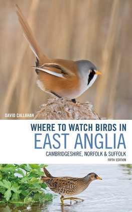 David Callahan - Where to Watch Birds in East Anglia